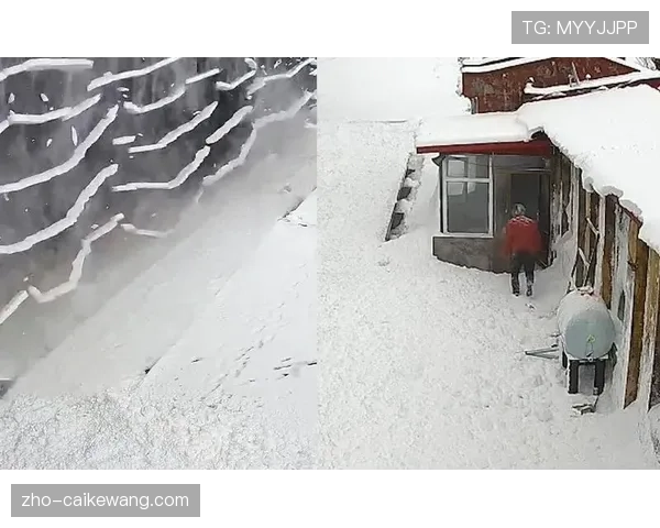 雪崩十二月射门成功率暴跌 由正数第一滑落至倒数